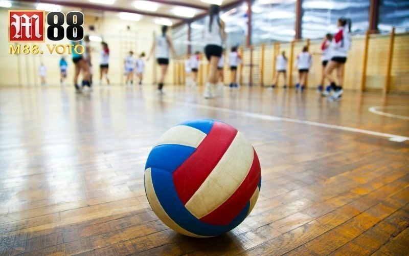 Lịch đấu bóng chuyền VLeague 2024 mới nhất